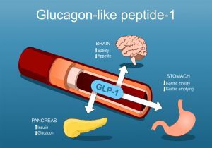 GLP-1